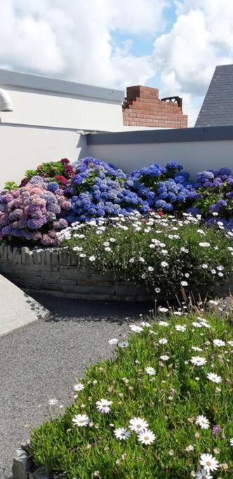 Clairhouse Accommodation Lahinch Exteriér fotografie